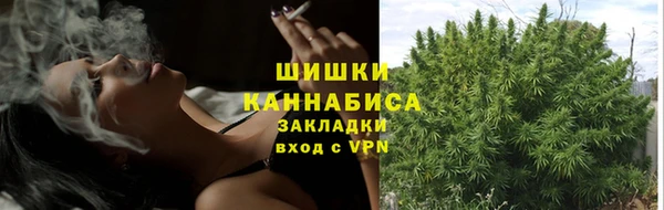 прущие крисы Нея