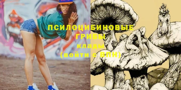 сатива Валдай