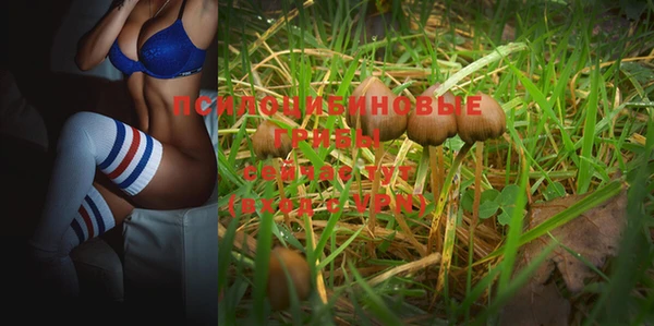 прущие крисы Нея